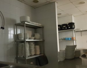 Commercial space for rent in Cluj-napoca, zone Centru