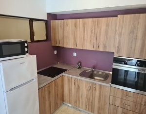 Appartement 1 chambres à louer dans Cluj-napoca, zone Dambul Rotund