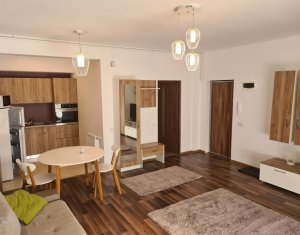 Apartment 1 rooms for rent in Cluj-napoca, zone Dambul Rotund