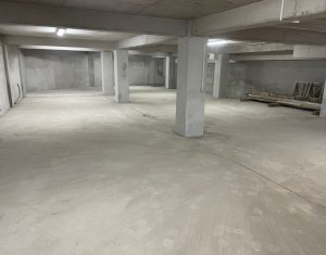 Industrial space for rent in Cluj-napoca, zone Gheorgheni