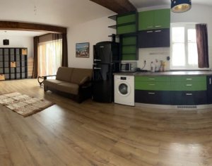 Triplex de 160 mp, renovat, in Buna Ziua