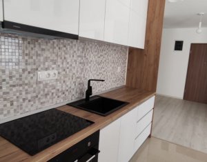 Apartment 2 rooms for rent in Cluj-napoca