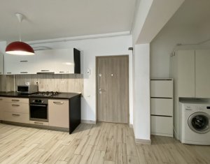 Apartment 2 rooms for rent in Cluj-napoca, zone Intre Lacuri