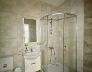 Apartment 2 rooms for rent in Cluj-napoca, zone Intre Lacuri