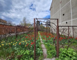 Ház 3 szobák kiadó on Cluj-napoca, Zóna Centru