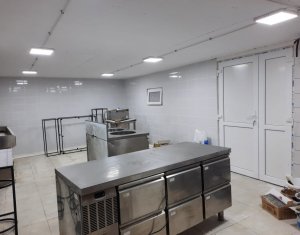 Commercial space for rent in Apahida