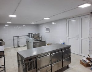 Spatiu comercial 80mp, amenajat, Alimentatie Publica, Penny Apahida 