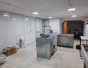 Commercial space for rent in Apahida