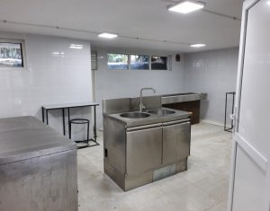 Commercial space for rent in Apahida