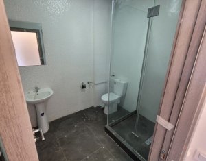 Appartement 1 chambres à louer dans Cluj-napoca, zone Iris