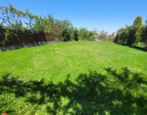 House 7 rooms for rent in Cluj-napoca, zone Andrei Muresanu