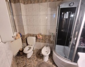 House 7 rooms for rent in Cluj-napoca, zone Andrei Muresanu