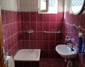 House 4 rooms for rent in Cluj-napoca, zone Manastur