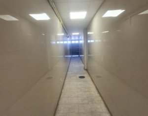 De inchiriat apartament cu 2 camere, terasa 20mp, Piata Unirii