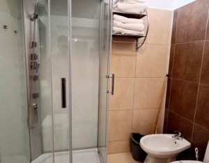 Apartment 4 rooms for rent in Cluj-napoca, zone Centru