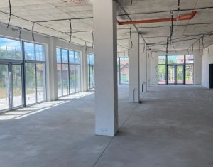 Espace Commercial à louer dans Cluj-napoca, zone Marasti