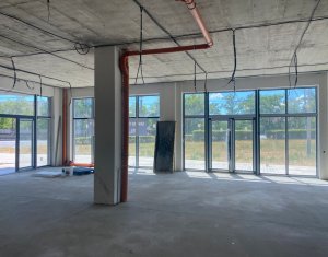 Espace Commercial à louer dans Cluj-napoca, zone Marasti