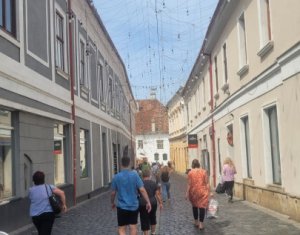 Espace Commercial à louer dans Cluj-napoca, zone Centru