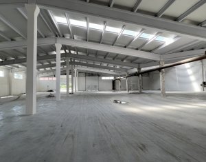 Hala/Depozit 1000mp, H=6m, curte,  1000Kw, CUG Muncii