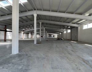Hala/Depozit 1000mp, H=6m, curte,  1000Kw, CUG Muncii