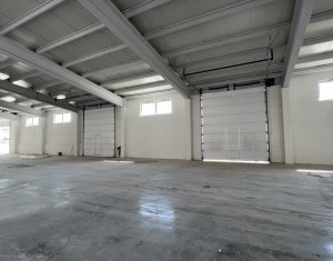 Hala/Depozit 1000mp, H=6m, curte,  1000Kw, CUG Muncii