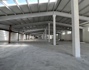 Hala/Depozit 1000mp, H=6m, curte,  1000Kw, CUG Muncii