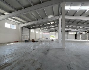 Hala/Depozit 1000mp, H=6m, curte,  1000Kw, CUG Muncii