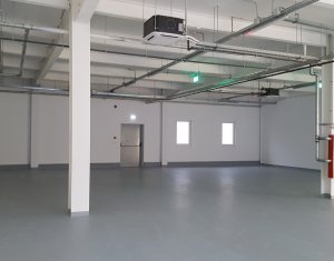 Industrial space for rent in Cluj-napoca, zone Someseni