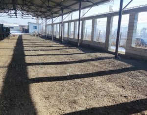 Industrial space for rent in Livada (iclod)