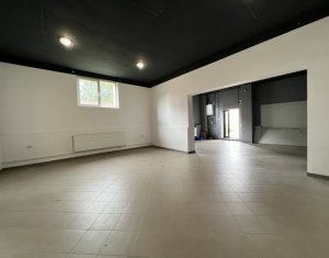 Commercial space for rent in Cluj-napoca, zone Europa