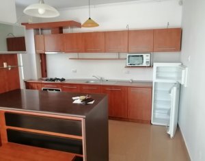 Apartment 2 rooms for rent in Cluj-napoca, zone Andrei Muresanu