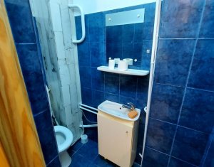 Apartament 3 camere, decomandat, 75 mp, mobilat, Marasti