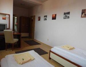 Ház 10 szobák kiadó on Cluj-napoca, Zóna Borhanci