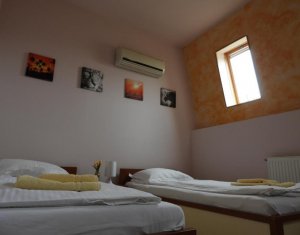 House 10 rooms for rent in Cluj-napoca, zone Borhanci