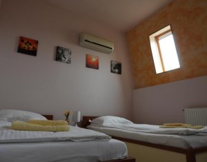 Maison 10 chambres à louer dans Cluj-napoca, zone Borhanci