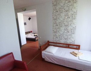 Maison 10 chambres à louer dans Cluj-napoca, zone Borhanci