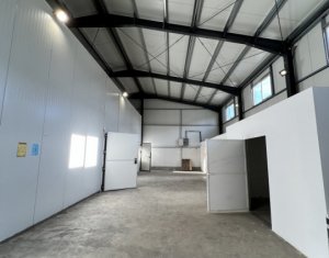 Industrial space for rent in Cluj-napoca