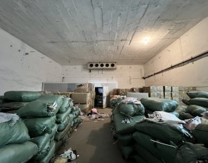 Espace Industriel à louer dans Cluj-napoca, zone Dambul Rotund
