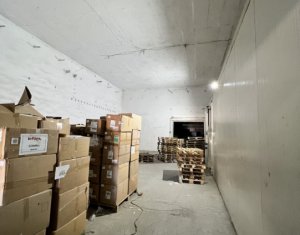 Espace Industriel à louer dans Cluj-napoca, zone Dambul Rotund
