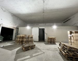 Espace Industriel à louer dans Cluj-napoca, zone Dambul Rotund