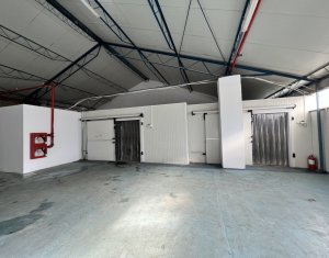 Industrial space for rent in Cluj-napoca, zone Someseni