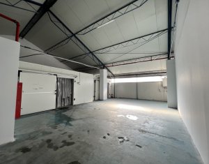 Industrial space for rent in Cluj-napoca, zone Someseni