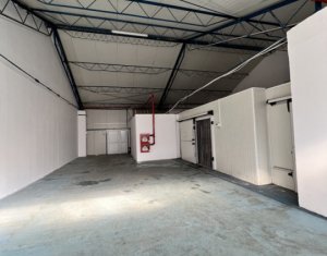 Industrial space for rent in Cluj-napoca, zone Someseni