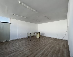 Industrial space for rent in Cluj-napoca, zone Someseni