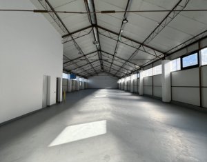 Industrial space for rent in Cluj-napoca, zone Someseni