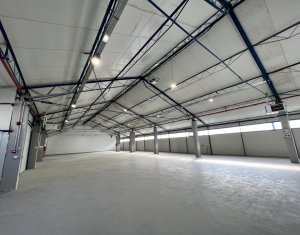 Industrial space for rent in Cluj-napoca, zone Someseni