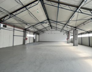 Industrial space for rent in Cluj-napoca, zone Someseni