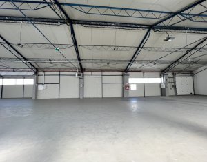 Industrial space for rent in Cluj-napoca, zone Someseni