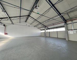 Industrial space for rent in Cluj-napoca, zone Someseni