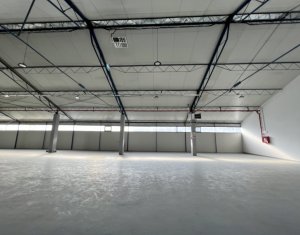 Industrial space for rent in Cluj-napoca, zone Someseni